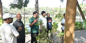 भेलवा तालाब में दीमक लगे पेड़ो को बचाने की मुहिम शुरू भेलवा तालाब में दीमक लगे पेड़ो को बचाने की मुहिम शुरू