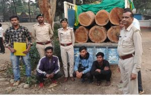  इमारती लकड़ियों से भरा पिकअप ज़ब्त, तीन गिरफ्तार