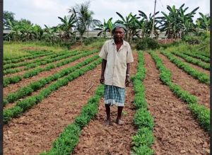  वनांचल के किसान श्री नारद ने मूंगफली की फसल लेकर 4 गुना से अधिक का लिया मुनाफा