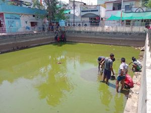  सुशासन तिहार :   धरम नगर में गार्डन कुण्ड की सफाई प्रारम्भ 