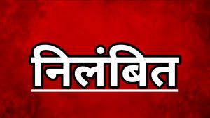  कर्तव्यों में घोर लापरवाही और गंभीर अनियमितताओं पर जिला कार्यक्रम अधिकारी निलंबित