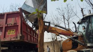 सुशासन तिहार - नगर निगम को आवेदन करते ही हुई कार्रवाई सुशासन तिहार - नगर निगम को आवेदन करते ही हुई कार्रवाई