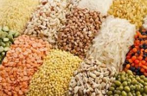 कृषि मंत्री श्री नेताम के निर्देश पर अनाज, दलहन एवं तिलहन बीजों का विक्रय दर निर्धारित कृषि मंत्री श्री नेताम के निर्देश पर अनाज, दलहन एवं तिलहन बीजों का विक्रय दर निर्धारित