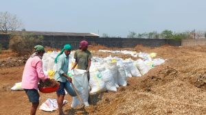सुशासन तिहार का असर, आवेदनों पर कार्रवाई शुरू