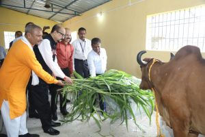 राज्यपाल रमेन डेका ने गौशाला का किया लोकार्पण राज्यपाल रमेन डेका ने गौशाला का किया लोकार्पण