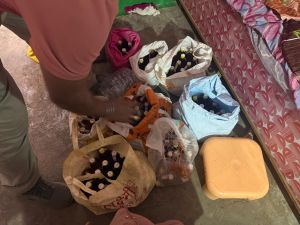 अवैध शराब के विरुद्ध आबकारी विभाग की छापामार कार्यवाही अवैध शराब के विरुद्ध आबकारी विभाग की छापामार कार्यवाही