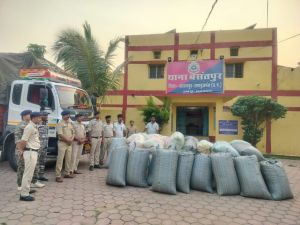  बलरामपुर पुलिस ने 1 करोड़ 30 लाख रुपए का 14 क्विंटल से अधिक डोडा किया जब्त