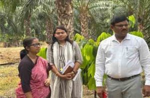 कृषि उत्पादन आयुक्त  द्वारा बागबाहरा में आयल पॉम प्रक्षेत्रों का  निरीक्षण 