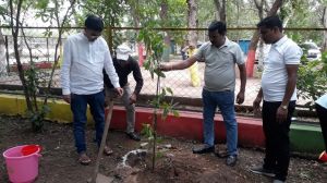  योग दिवस के अवसर पर योग उद्यान नेहरू नगर में पौधारोपण 