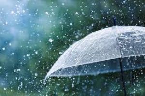  जिले में अब तक 272.7 मि.मी. औसत वर्षा दर्ज