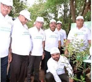 पॉवर कंपनी अध्यक्ष डॉ. रोहित यादव ने किया 50 हजार पौधे लगाने का आगाज पॉवर कंपनी अध्यक्ष डॉ. रोहित यादव ने किया 50 हजार पौधे लगाने का आगाज