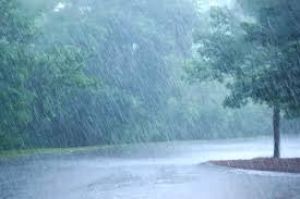  छत्तीसगढ़ में अब तक 364.1 मि.मी. औसत वर्षा दर्ज