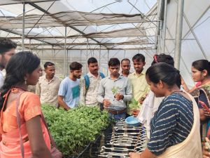 नर्सरी प्रबंधन पर कौशल विकास प्रशिक्षण में भाग लेने का सुनहरा मौका