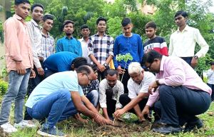 महाराष्‍ट्र मंडल का पौधरोपण अभियान अगले हफ्ते से