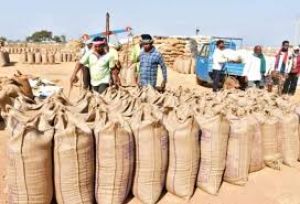  धान खरीदी का अनुमान 70 से बढ़ाकर 78 लाख मीट्रिक टन