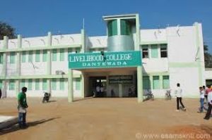  लाइवलीहुड कॉलेज दंतेवाड़ा में जिला स्तरीय ’’कौशल तिहार’’ का होगा आयोजन
