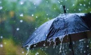 जिले में अब तक 373.3 मि.मी. औसत वर्षा दर्ज