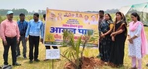  सूरजपुर जिले में ऑयल पाम की खेती का शुभारंभ