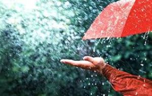  दुर्ग जिले में बुधवार तक 390.3 मि.मी. औसत वर्षा दर्ज 
