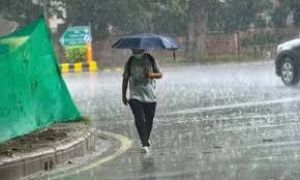 जिले में अब तक 668.5 मि.मी. बारिश दर्ज जिले में अब तक 668.5 मि.मी. बारिश दर्ज