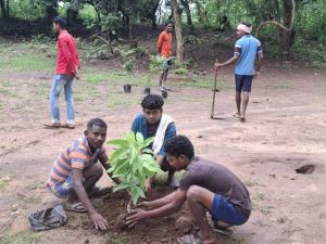 तिरिया में प्राकृतिक पर्यटन और आजीविका संवर्धन का नया मॉडल तिरिया में प्राकृतिक पर्यटन और आजीविका संवर्धन का नया मॉडल