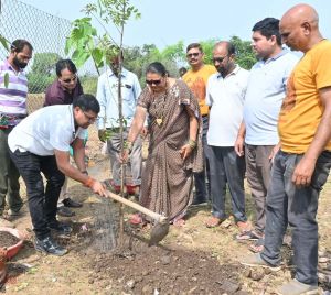 निगम एवं गौसेवकों का कोसा नगर गोठान में संयुक्त वृक्षारोपण निगम एवं गौसेवकों का कोसा नगर गोठान में संयुक्त वृक्षारोपण