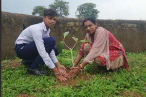 आरंग विकासखंड में ‘हरियर पाठशाला’ के तहत 500 पौधों का सामूहिक रोपण आरंग विकासखंड में ‘हरियर पाठशाला’ के तहत 500 पौधों का सामूहिक रोपण