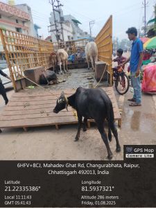 डेयरी संचालक अरविन्द सिंह ठाकुर पर एफआईआर दर्ज करने दिया आवेदन डेयरी संचालक अरविन्द सिंह ठाकुर पर एफआईआर दर्ज करने दिया आवेदन