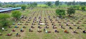 "एक पेड़ मां के नाम" अभियान के तहत ग्राम पंचायत कुकरा और रीवा में वृहद वृक्षारोपण, महिलाओं को मिला रोजगार और आत्मनिर्भरता का नया मार्ग