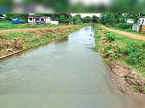  किसानों की मांग पर गंगरेल से सिंचाई पानी छोड़ा गया 