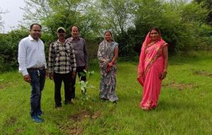  विद्यालयों में हरियाली की पहल, विद्यार्थियों व अभिभावकों का सामूहिक संकल्प