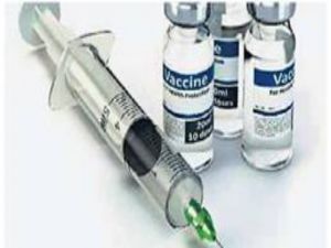  बस्तर संभाग में एंटी रेबीज वैक्सीन की पर्याप्त उपलब्धता