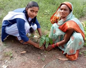  आरंग विकासखंड में &lsquo;हरियर पाठशाला&rsquo; के तहत 250 पौधों का सामूहिक रोपण