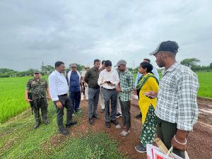  डिजिटल क्रॉप सर्वे की जानकारी लेने कलेक्टर पहुंचे खेतों में