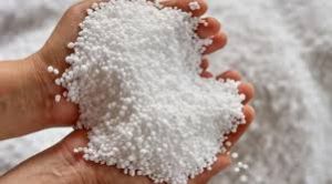 सोसायटियों में यूरिया की कमी , ऐन वक्त पर किसान भटक रहे सोसायटियों में यूरिया की कमी , ऐन वक्त पर किसान भटक रहे