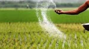   प्रदेश में रासायनिक खाद पर्याप्त मात्रा में उपलब्ध 