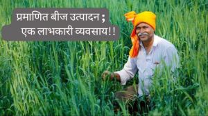 प्रमाणित बीज उत्पादन, एक लाभकारी व्यवसाय प्रमाणित बीज उत्पादन, एक लाभकारी व्यवसाय