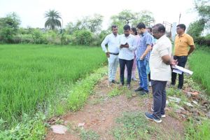 कलेक्टर ने डिजिटल क्रॉप सर्वे का मौके पर जाकर किया निरीक्षण कलेक्टर ने डिजिटल क्रॉप सर्वे का मौके पर जाकर किया निरीक्षण