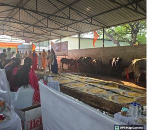 राधा अष्टमी पर गौ सेवा महोत्सव का आयोजन राधा अष्टमी पर गौ सेवा महोत्सव का आयोजन