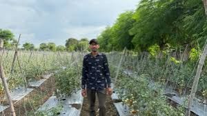 किसान हितैषी सरकार की योजनाओं से बन रहे स्वावलंबी किसान हितैषी सरकार की योजनाओं से बन रहे स्वावलंबी