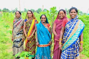  कमार दीदियों की ज़िंदगी में बिहान से जुड़कर आई खुशहाली