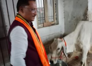  गौ-सेवा से ही मिलती है सच्ची शांति और ऊर्जा : मुख्यमंत्री विष्णु देव साय