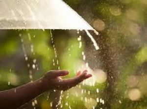 प्रदेश में अब तक 978.4 मि.मी. औसत वर्षा दर्ज
