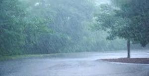 प्रदेश में अब तक 989.9 मि.मी. औसत वर्षा दर्ज