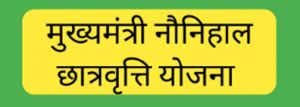  मुख्यमंत्री नौनिहाल छात्रवृत्ति योजना से वंशिका और राम के सपनों को मिला संबल