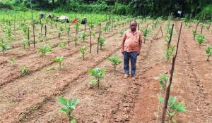  सफलता की इबारत: नवाचार और तकनीक से दोगुनी हुई किसान की आय