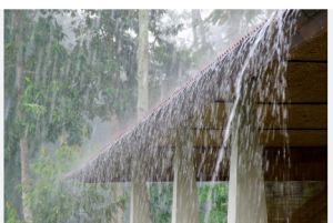 प्रदेश में अब तक 1138.9 मि.मी. औसत वर्षा दर्ज प्रदेश में अब तक 1138.9 मि.मी. औसत वर्षा दर्ज