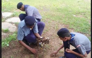 राष्ट्रपिता महात्मा गांधी जयंती पर स्काउट्स-गाइड्स रोवर रेंजर्स द्वारा चलाया गया स्वच्छता अभियान राष्ट्रपिता महात्मा गांधी जयंती पर स्काउट्स-गाइड्स रोवर रेंजर्स द्वारा चलाया गया स्वच्छता अभियान