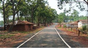 पीएम जनमन ने दिलाई पहाड़ी कोरवाओं को शासकीय योजनाओं के लाभ पीएम जनमन ने दिलाई पहाड़ी कोरवाओं को शासकीय योजनाओं के लाभ