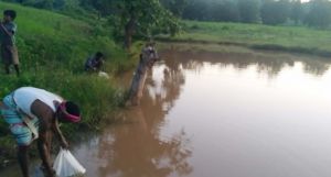 जल संरक्षण से बदली बैगा बाहुल्य ग्राम इन्द्रिपानी की तस्वीर जल संरक्षण से बदली बैगा बाहुल्य ग्राम इन्द्रिपानी की तस्वीर